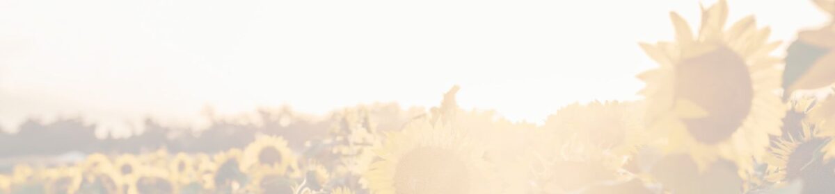 Robin Follette: Health Coach and Holistic Living
